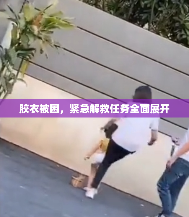胶衣被困，紧急解救任务全面展开