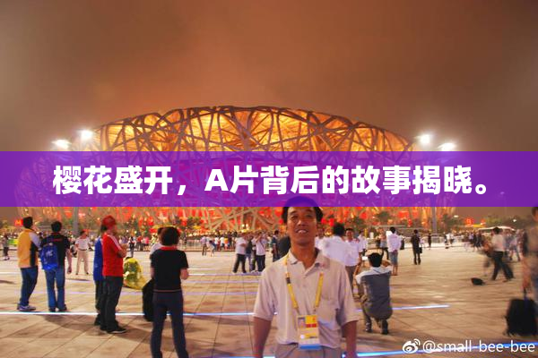 樱花盛开，A片背后的故事揭晓。