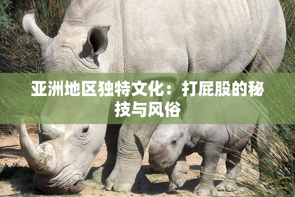 亚洲地区独特文化：打屁股的秘技与风俗