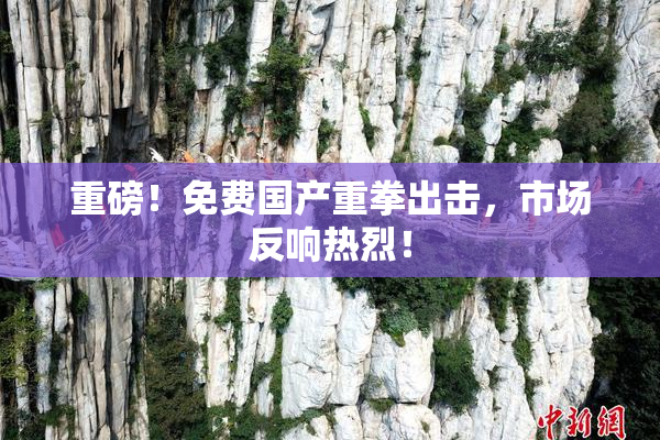重磅！免费国产重拳出击，市场反响热烈！