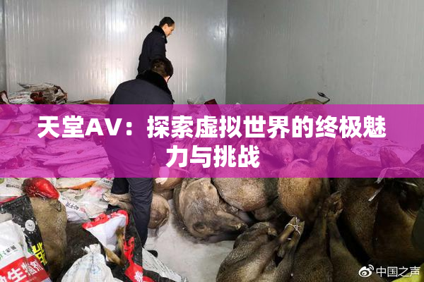 天堂A∨：探索虚拟世界的终极魅力与挑战