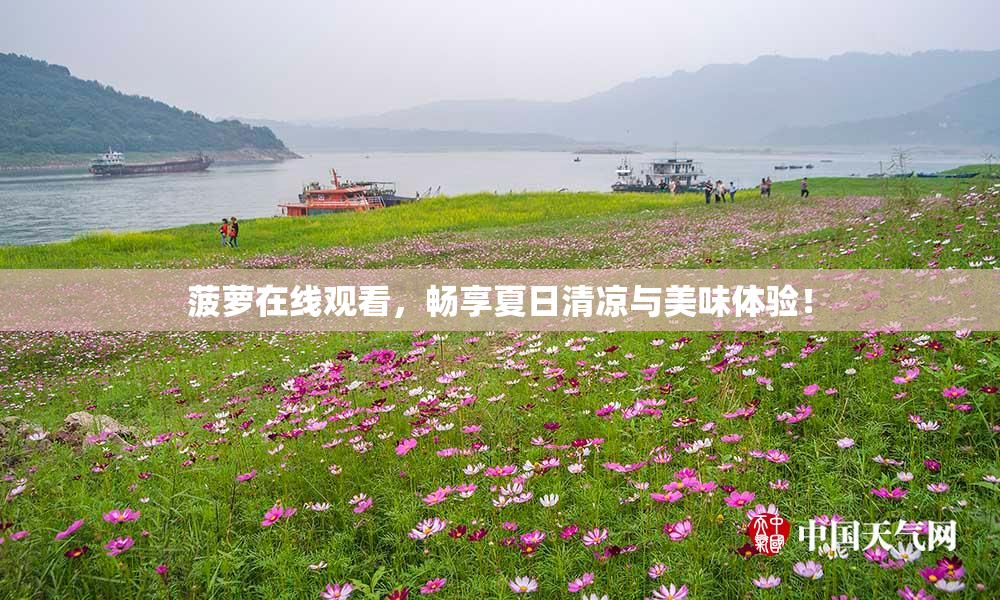 菠萝在线观看，畅享夏日清凉与美味体验！