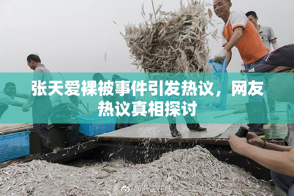 张天爱裸被事件引发热议，网友热议真相探讨