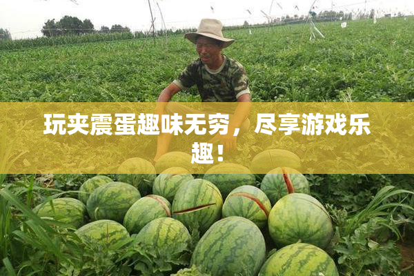 玩夹震蛋趣味无穷，尽享游戏乐趣！