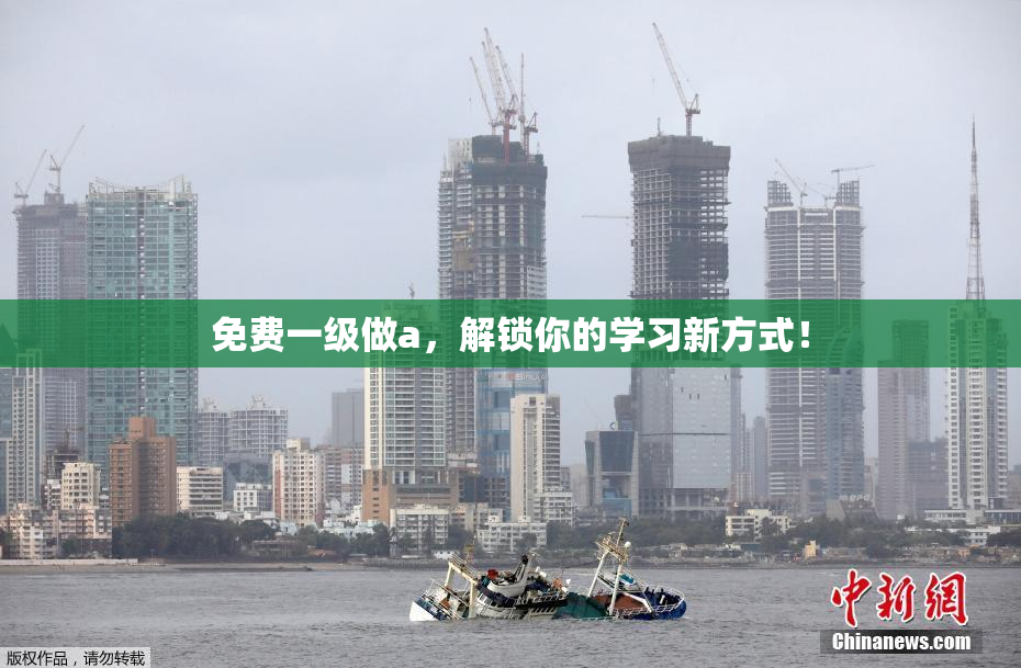 免费一级做a，解锁你的学习新方式！