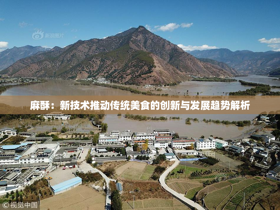 麻酥：新技术推动传统美食的创新与发展趋势解析