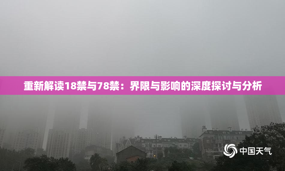 重新解读18禁与78禁：界限与影响的深度探讨与分析