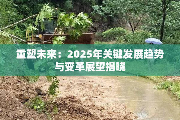 重塑未来：2025年关键发展趋势与变革展望揭晓