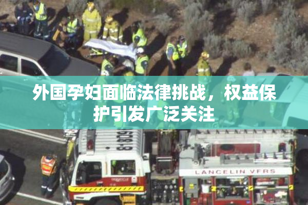 外国孕妇面临法律挑战，权益保护引发广泛关注