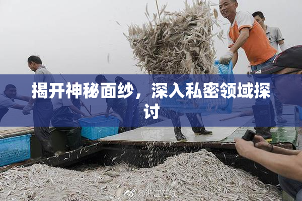揭开神秘面纱，深入私密领域探讨