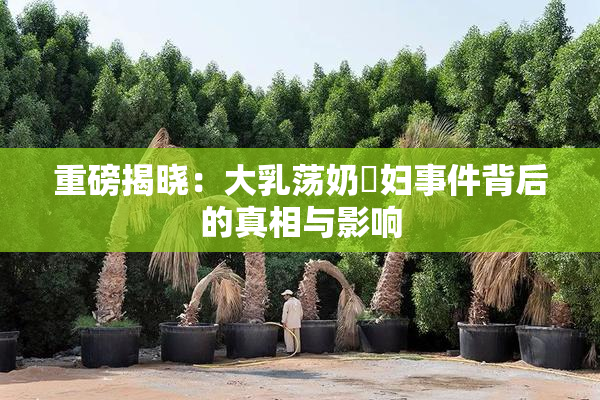 重磅揭晓：大乳荡奶婬妇事件背后的真相与影响