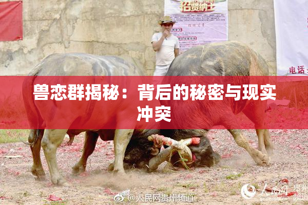 兽恋群揭秘：背后的秘密与现实冲突