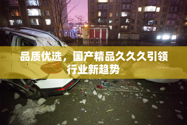 品质优选，国产精品久久久引领行业新趋势