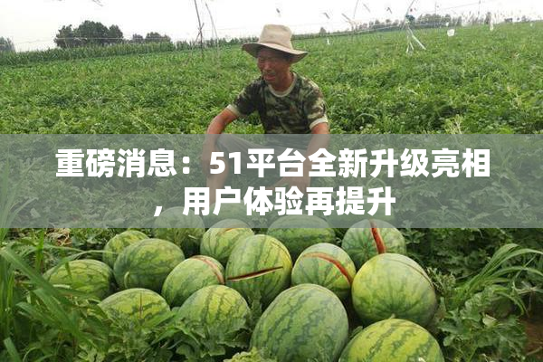 重磅消息：51平台全新升级亮相，用户体验再提升