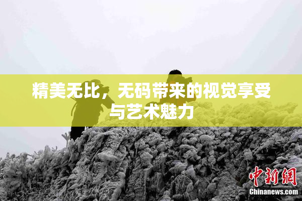 精美无比，无码带来的视觉享受与艺术魅力