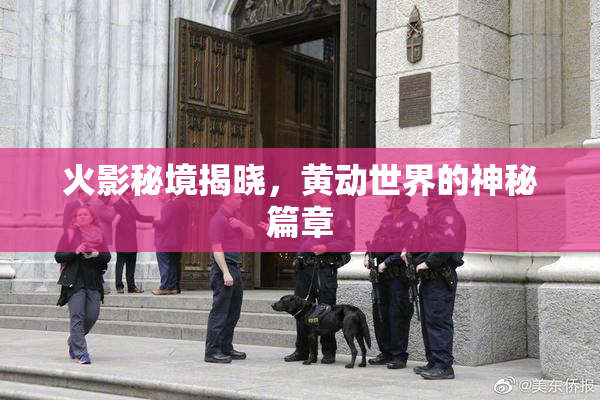 火影秘境揭晓，黄动世界的神秘篇章