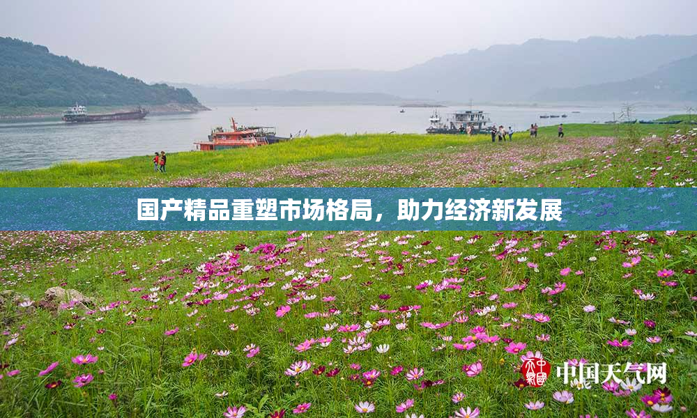 国产精品重塑市场格局，助力经济新发展