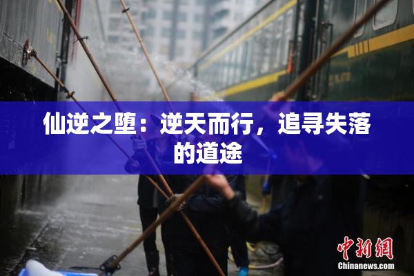 仙逆之堕：逆天而行，追寻失落的道途