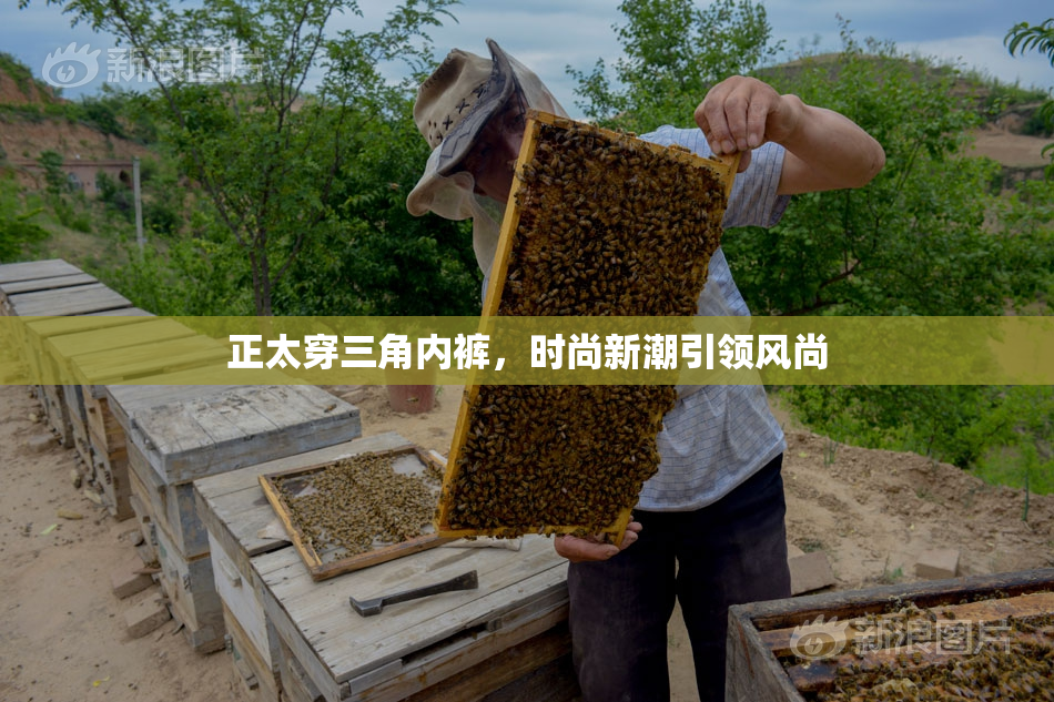 正太穿三角内裤，时尚新潮引领风尚