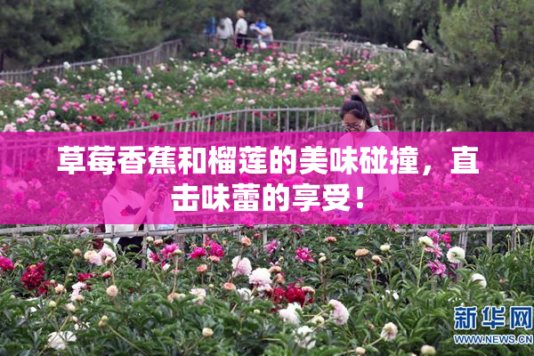 草莓香蕉和榴莲的美味碰撞，直击味蕾的享受！