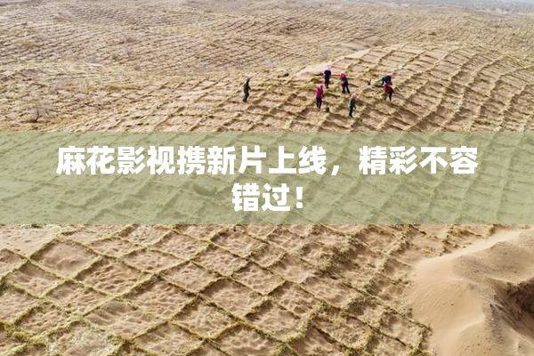 麻花影视携新片上线，精彩不容错过！