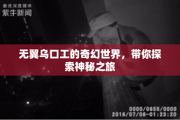 无翼乌口工的奇幻世界，带你探索神秘之旅