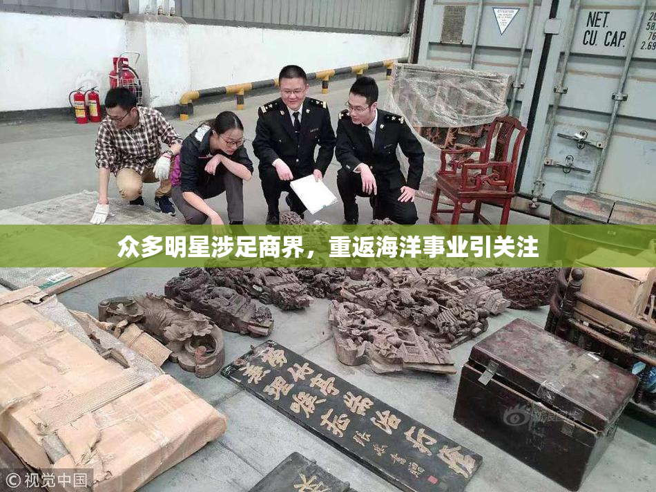 众多明星涉足商界，重返海洋事业引关注