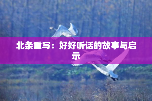 北条重写：好好听话的故事与启示