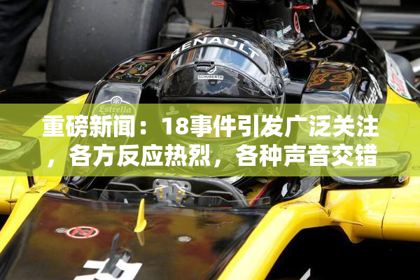 重磅新闻：18事件引发广泛关注，各方反应热烈，各种声音交错。