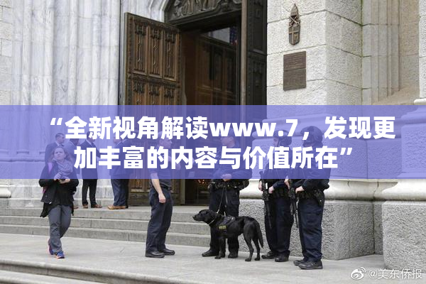 “全新视角解读www.7，发现更加丰富的内容与价值所在”