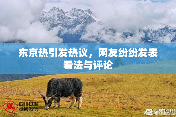 东京热引发热议，网友纷纷发表看法与评论