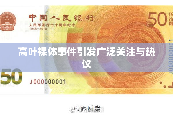高叶裸体事件引发广泛关注与热议