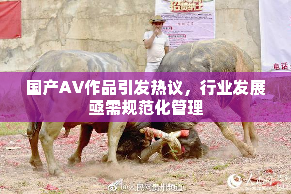 国产AV作品引发热议，行业发展亟需规范化管理