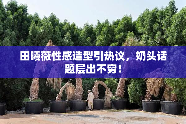 田曦薇性感造型引热议，奶头话题层出不穷！