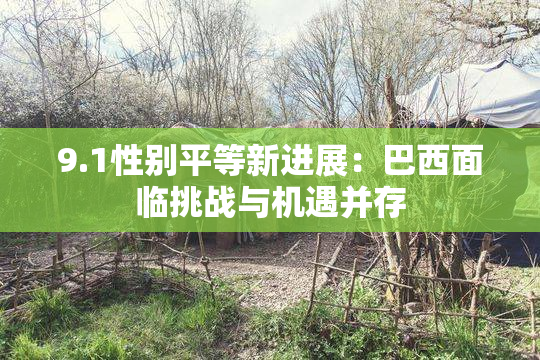9.1性别平等新进展：巴西面临挑战与机遇并存