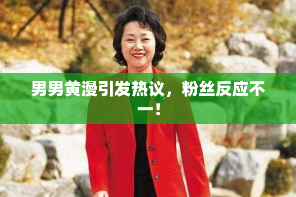 男男黄漫引发热议，粉丝反应不一！