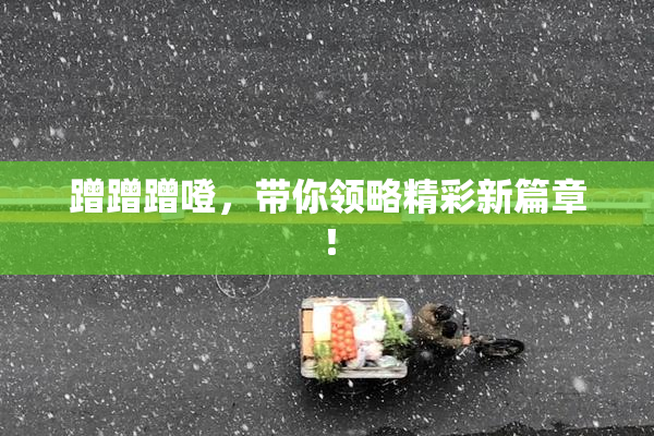蹭蹭蹭噔，带你领略精彩新篇章！