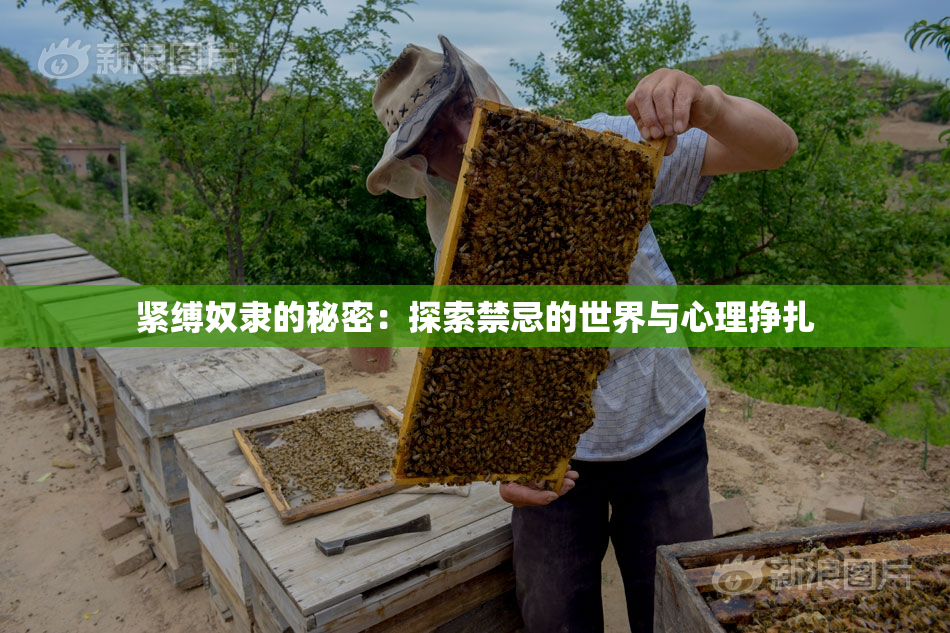 紧缚奴隶的秘密：探索禁忌的世界与心理挣扎