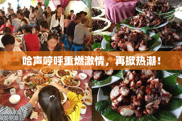 哈声哼呼重燃激情，再掀热潮！