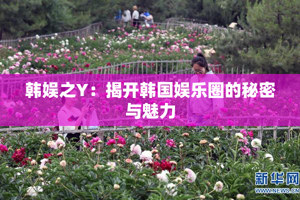 韩娱之Y：揭开韩国娱乐圈的秘密与魅力