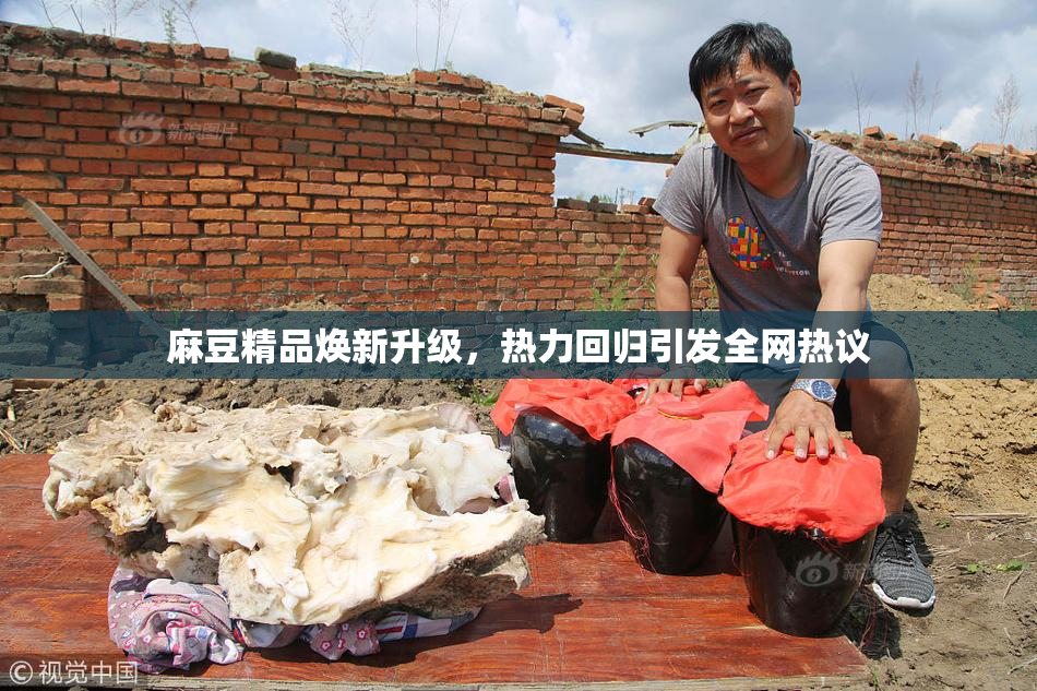 麻豆精品焕新升级，热力回归引发全网热议