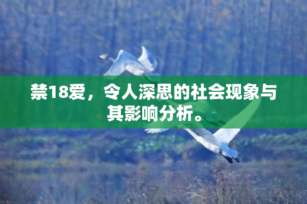 禁18爱，令人深思的社会现象与其影响分析。