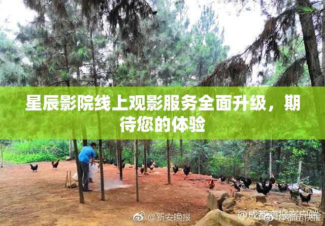 星辰影院线上观影服务全面升级，期待您的体验