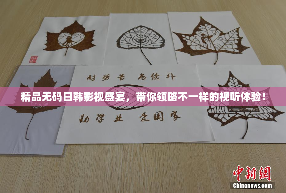 精品无码日韩影视盛宴，带你领略不一样的视听体验！