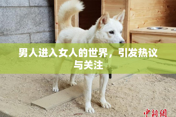 男人进入女人的世界，引发热议与关注
