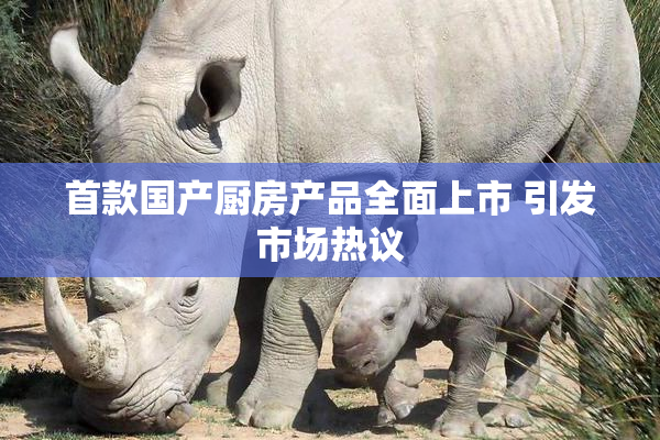 首款国产厨房产品全面上市 引发市场热议