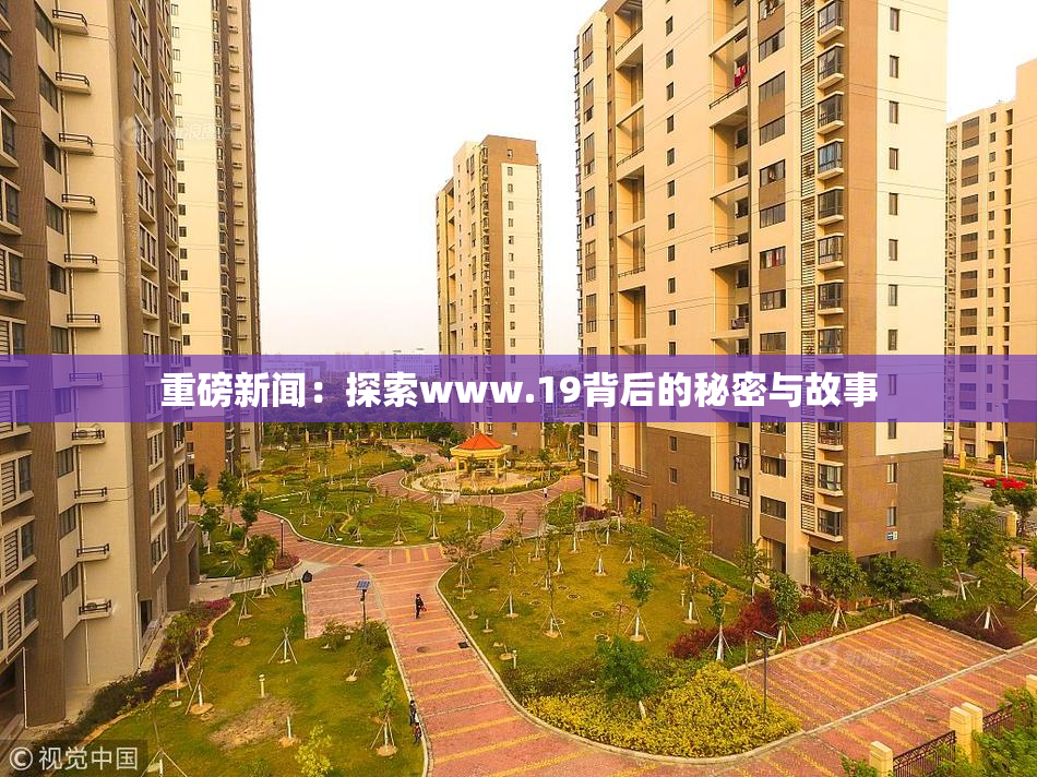 重磅新闻：探索www.19背后的秘密与故事