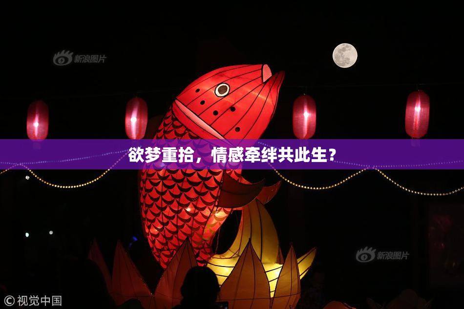 欲梦重拾，情感牵绊共此生？