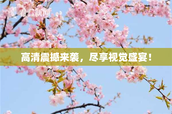 高清震撼来袭，尽享视觉盛宴！