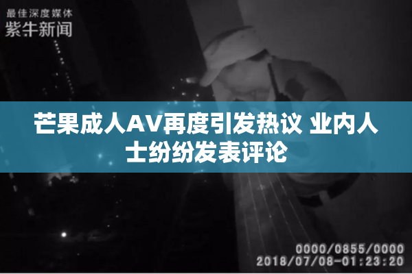 芒果成人AV再度引发热议 业内人士纷纷发表评论